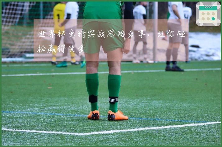 世界杯竞猜实战思路分享，让你轻松赢得奖金