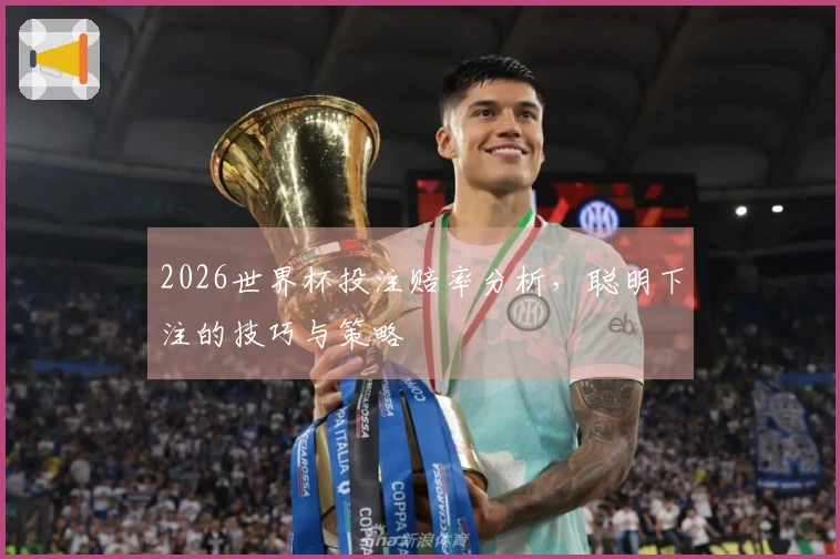2026世界杯投注赔率分析，聪明下注的技巧与策略