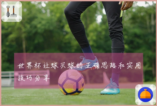 世界杯让球买球的正确思路和实用技巧分享
