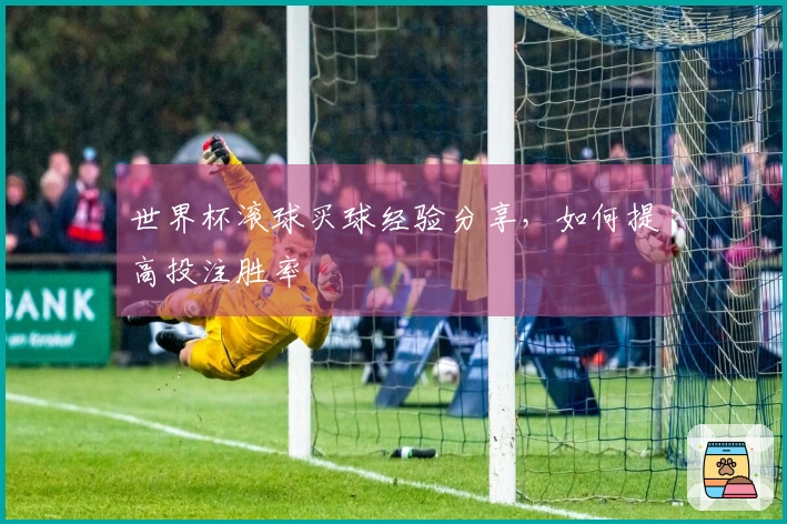 世界杯滚球买球经验分享，如何提高投注胜率