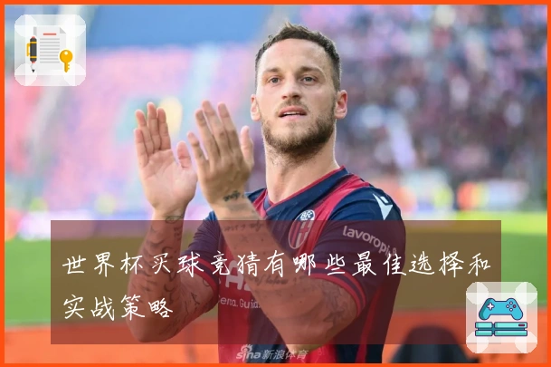 世界杯买球竞猜有哪些最佳选择和实战策略