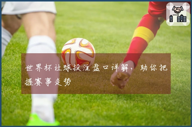 世界杯让球投注盘口详解，助你把握赛事走势