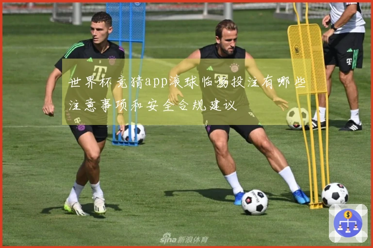 世界杯竞猜app滚球临场投注有哪些注意事项和安全合规建议