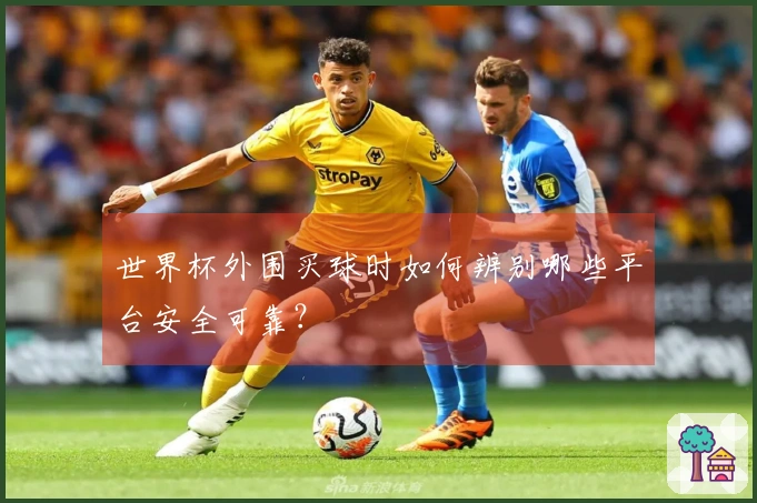 世界杯外围买球时如何辨别哪些平台安全可靠？