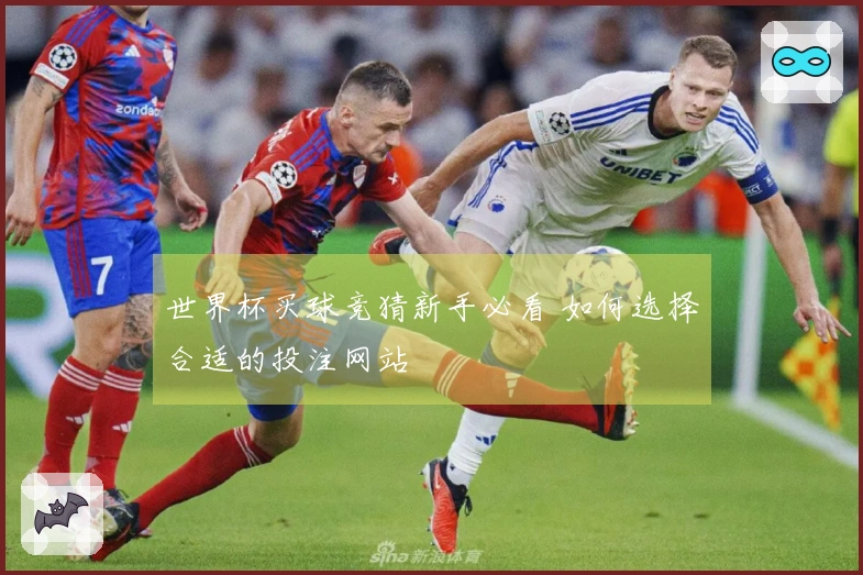 世界杯买球竞猜新手必看 如何选择合适的投注网站