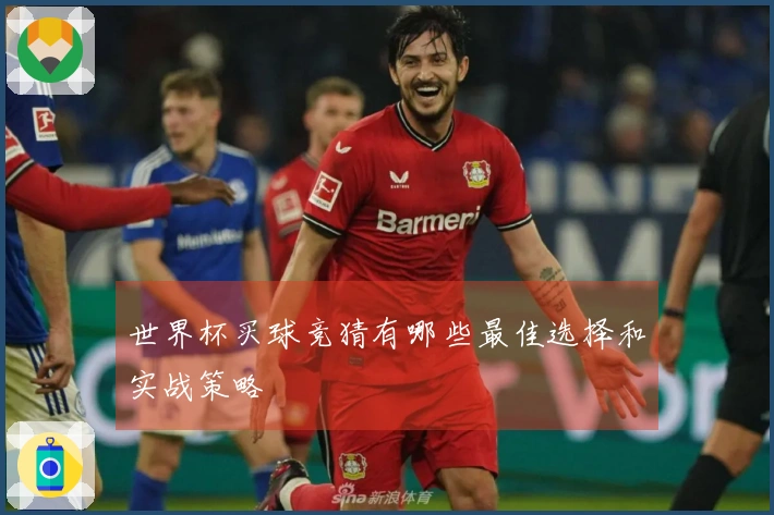 世界杯买球竞猜有哪些最佳选择和实战策略