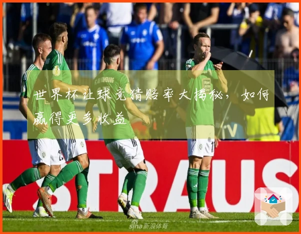 世界杯让球竞猜赔率大揭秘，如何赢得更多收益