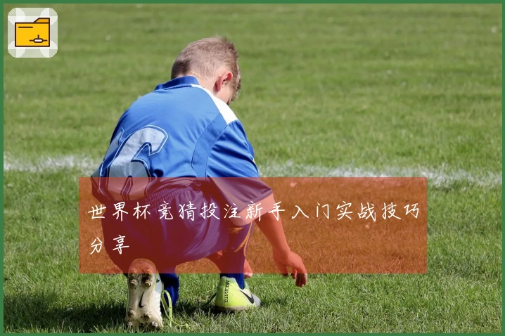 世界杯竞猜投注新手入门实战技巧分享