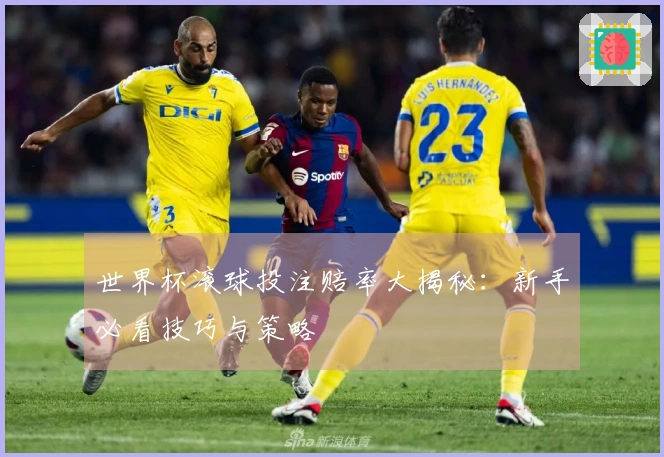 世界杯滚球投注赔率大揭秘：新手必看技巧与策略