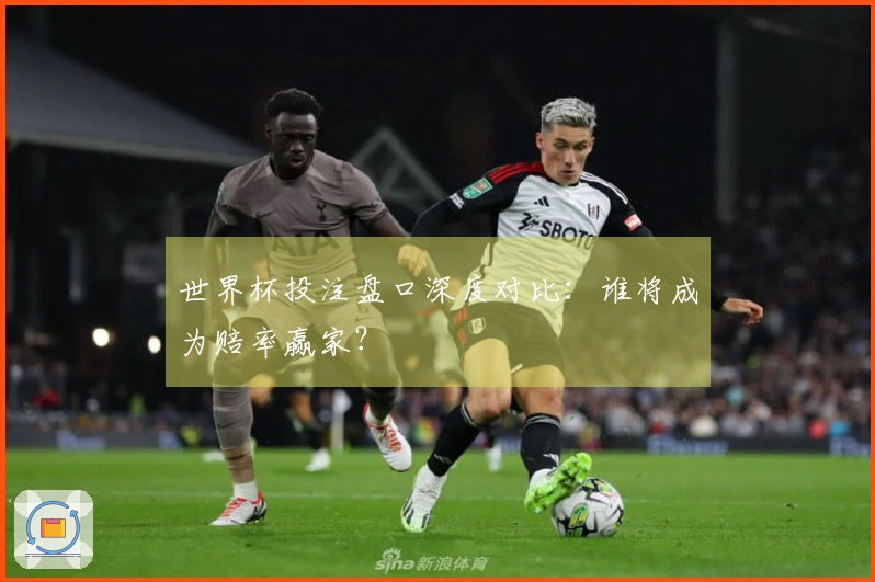 世界杯投注盘口深度对比：谁将成为赔率赢家？