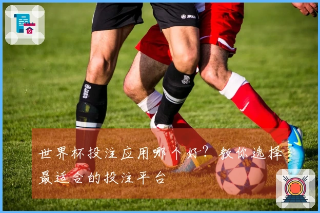 世界杯投注应用哪个好？教你选择最适合的投注平台