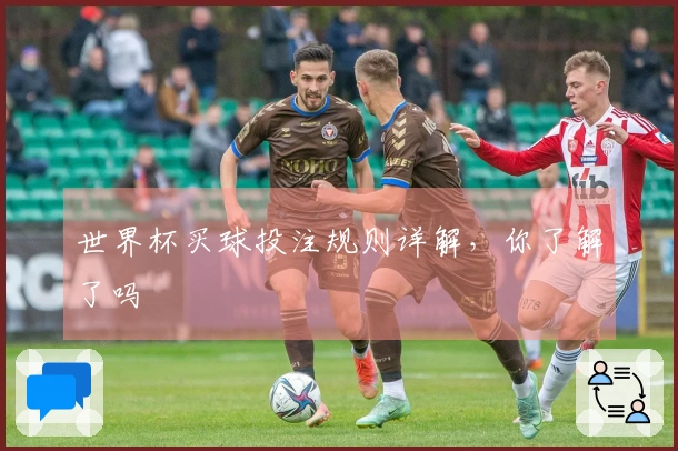 世界杯买球投注规则详解，你了解了吗