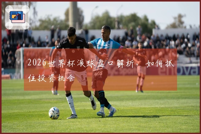 2026世界杯滚球盘口解析，如何抓住投资机会