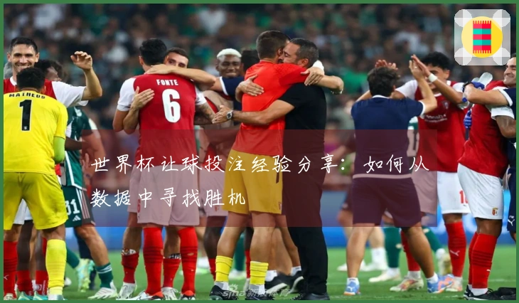 世界杯让球投注经验分享：如何从数据中寻找胜机