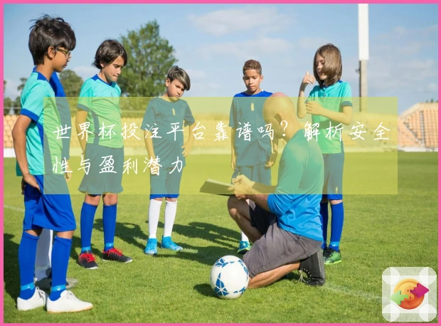 世界杯投注平台靠谱吗？解析安全性与盈利潜力